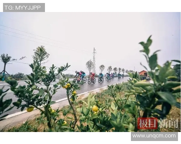 2025环漳河世界公路自行车赛圆满闭幕